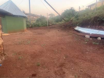Kzn C.