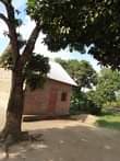 A picture of 3 fertile acres on sale all at 39m with electricity
