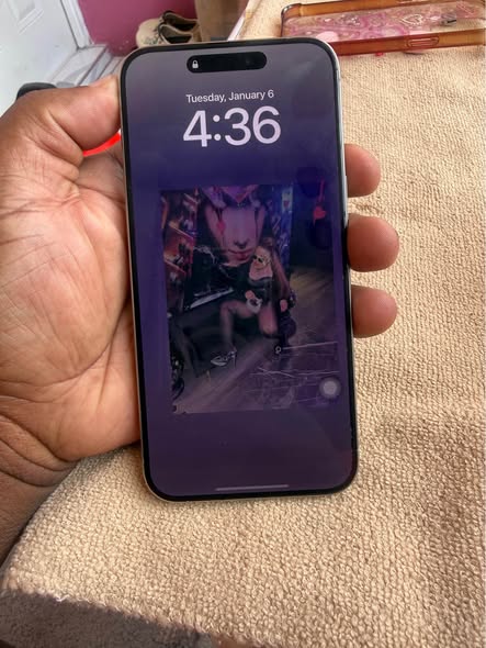 iphone pro max