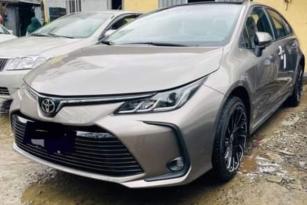 used toyota corolla