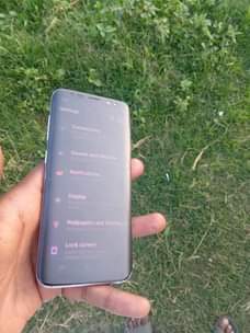 A picture of Samusang galaxy s8