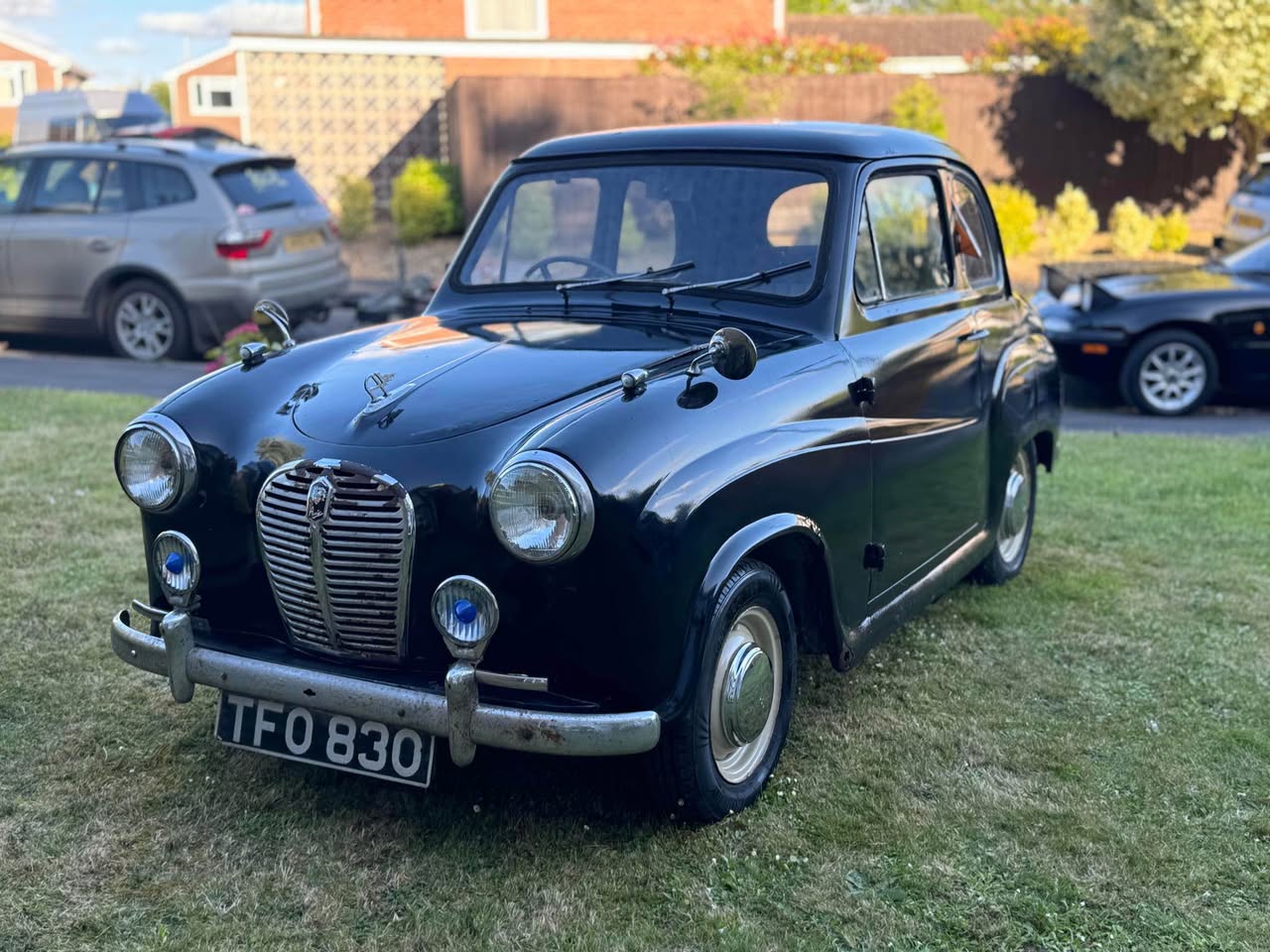 austin mini