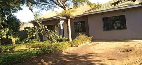 houses for sale