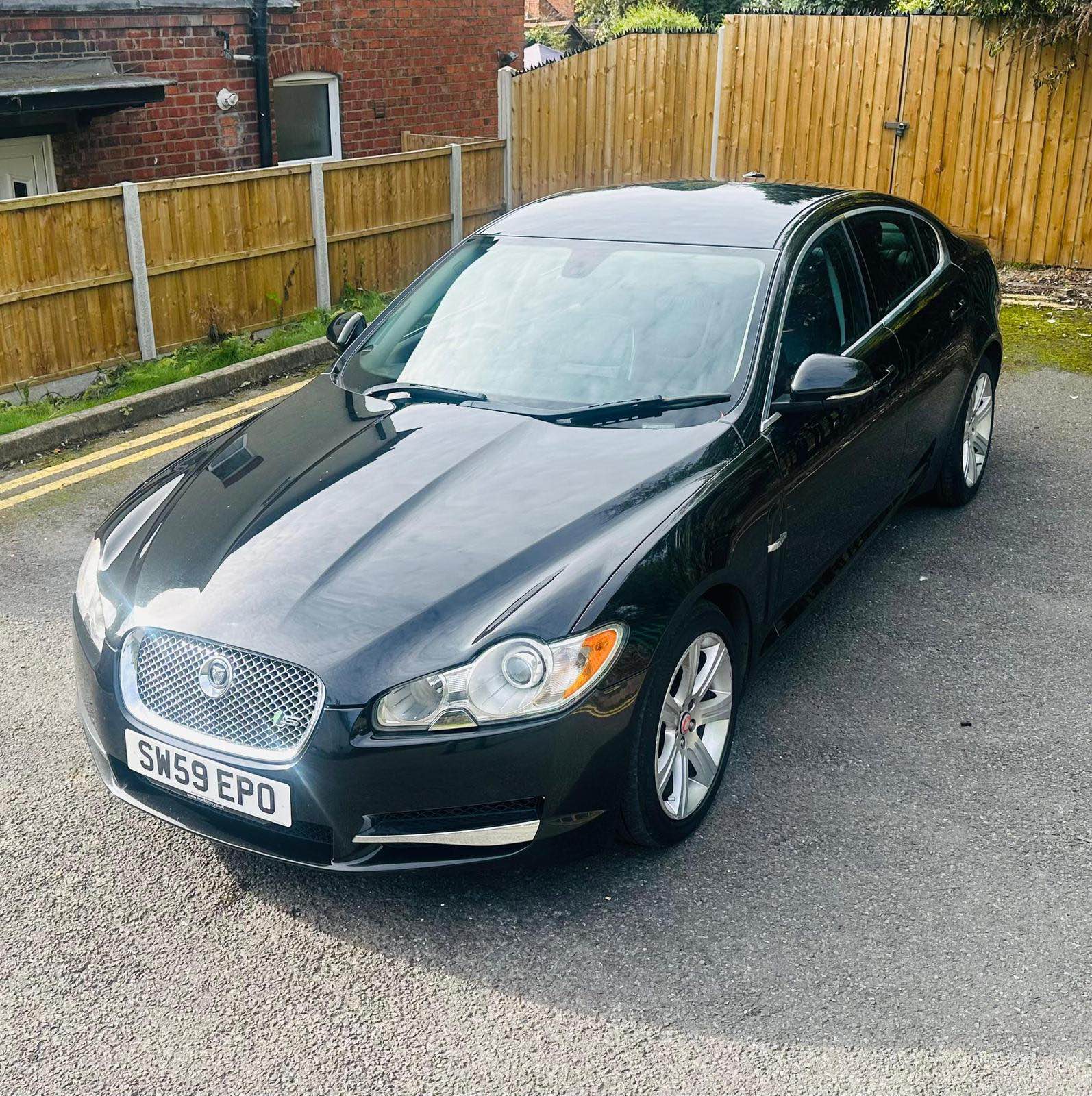 jaguar