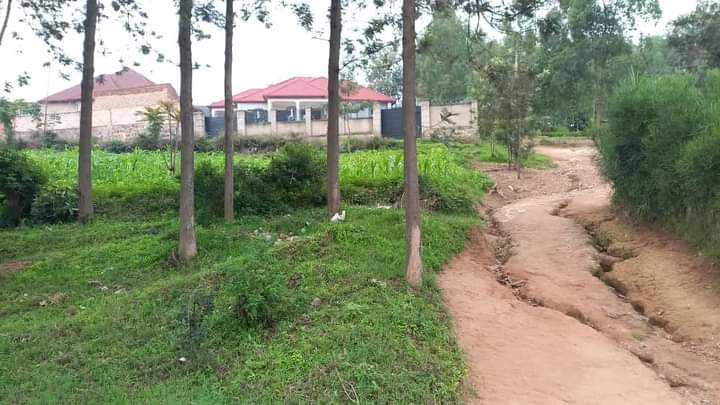 kagugu accommodation