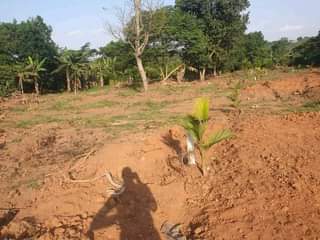 A picture of Land