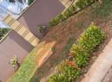 A picture of Najjera Buwatte 5 bedroomed House for Sale at 700M negotiable