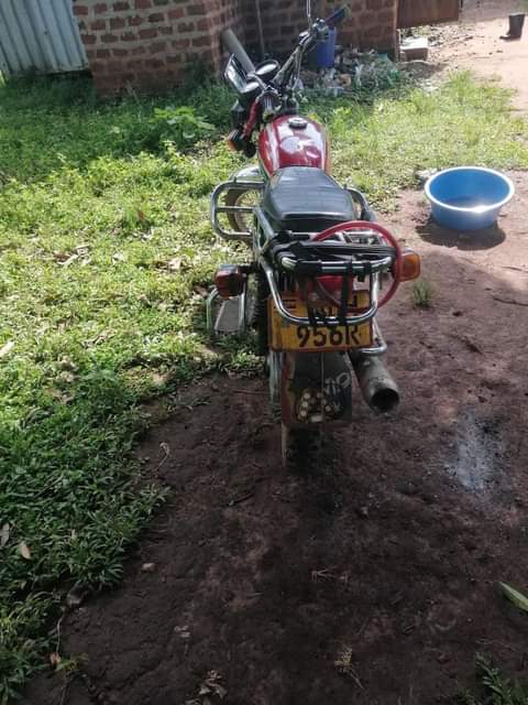 motorbikes