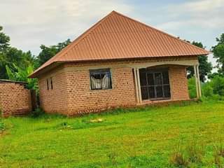 A picture of 48m PEOPLE WHO HAVE BIG FAMILY USE THIS OPPORTUNITY TO
