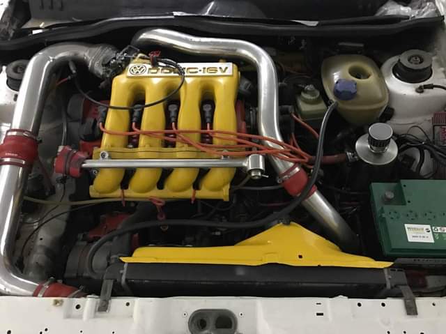 VW's F.