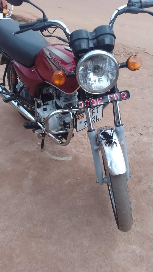 A picture of Bajaj boxer for sale just 3.75m just call WhatsApp on