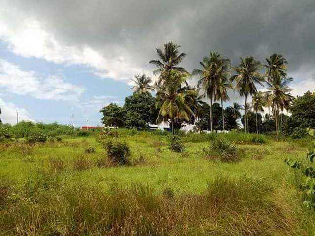 kiwanja