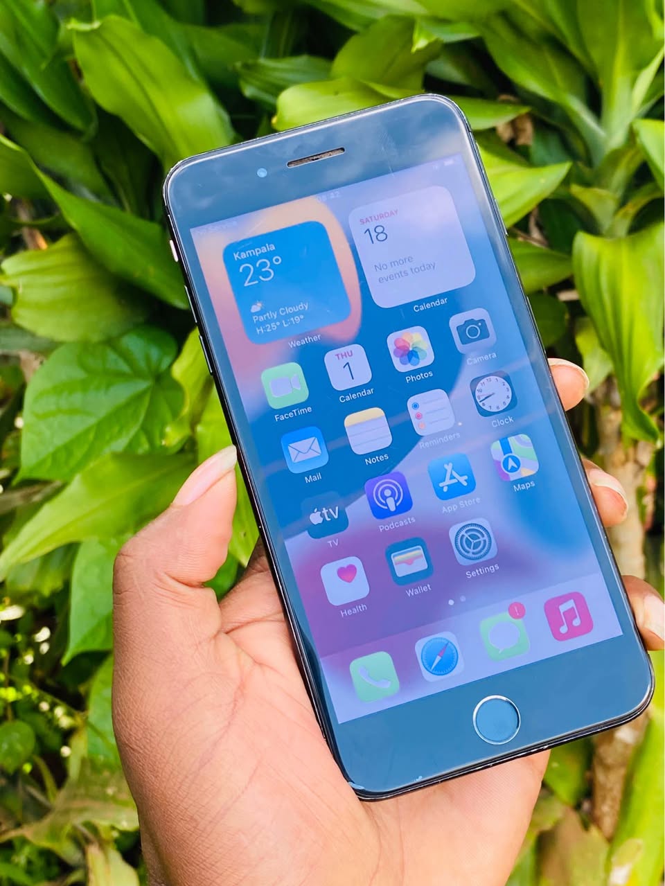 A picture of iPhone 7plus