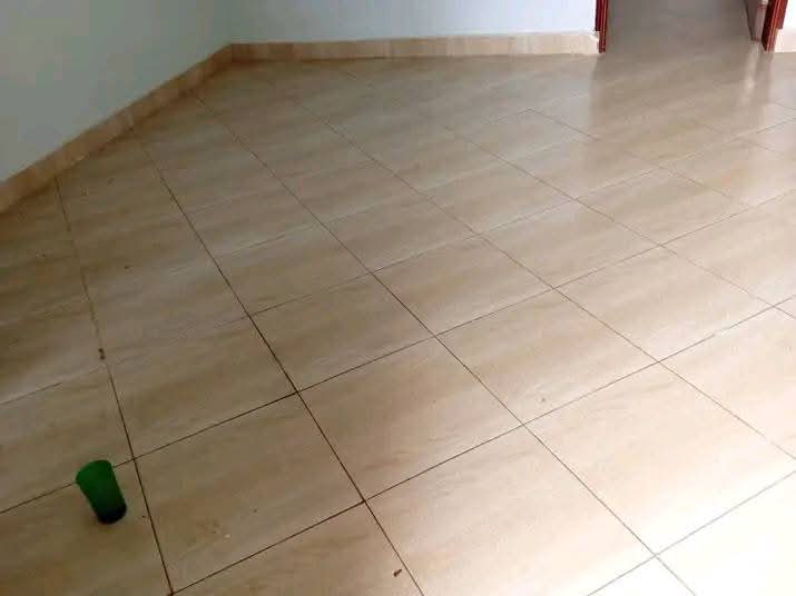 houses for rent