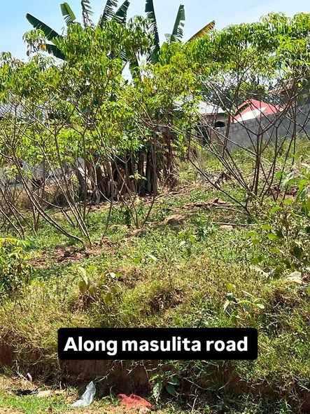 A picture of PLOTS IN KAKIRI