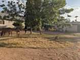 A picture of Eneo linauzwa Malimbe mwanza