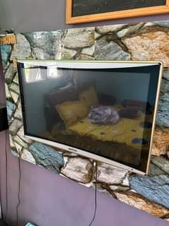 A picture of Ouling flat TV nch 24