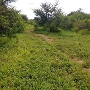 A picture of Shamba la eka 20 linauzwa masuguru kata ya kiwangwa wilaya