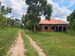 A picture of Five acres of land with title on quick sale