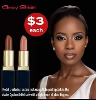 avroy shlain products