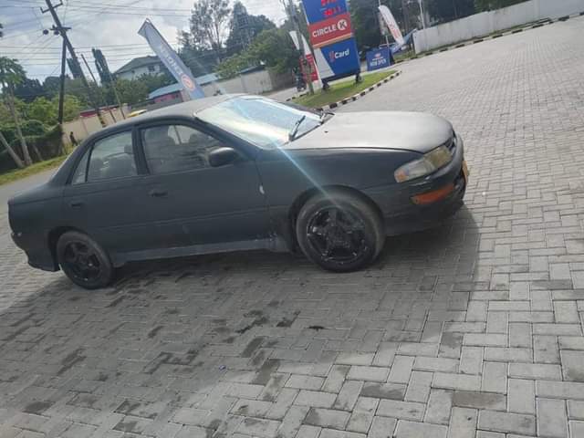A picture of 255655668290
