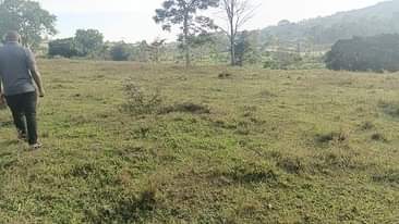 A picture of 15 ACRES AT MATUGGA TOUCHING GULU HIGHWAY
