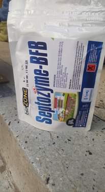 A picture of Enzymes backteria