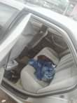A picture of CAMRY TINYLIGHT