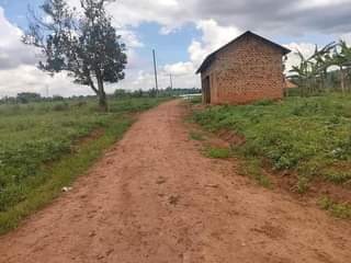 A picture of Kakiri Magogo Estate 100ft by 50ft 12m 15m 0759502757 instalments