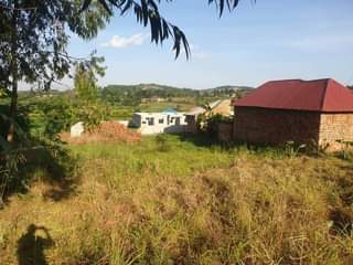 A picture of Land