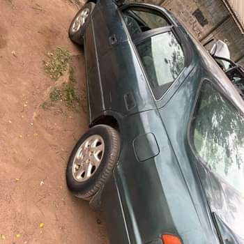 A picture of Camry Tiny07088153375