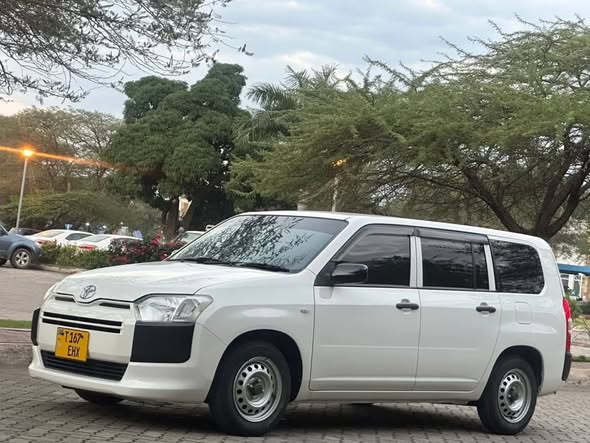 A picture of TOYOTA PROBOX
