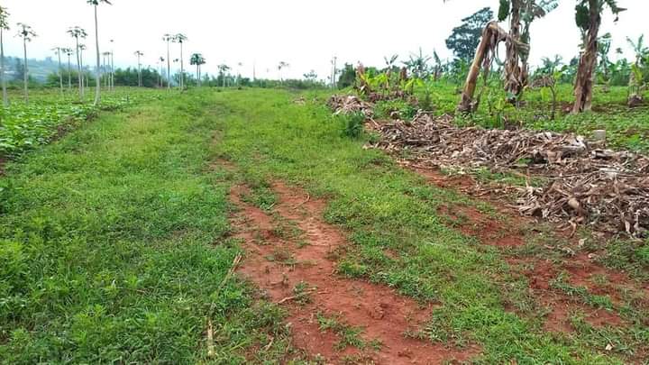 kinyinya accommodation