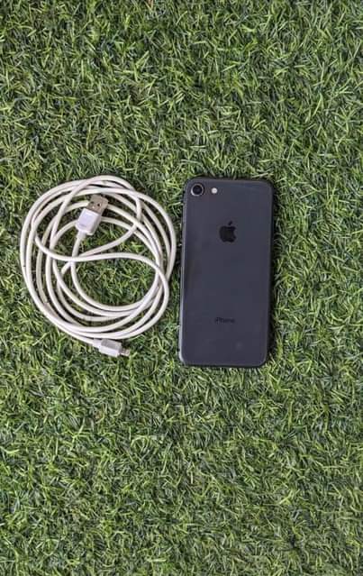 A picture of Iphone8plain