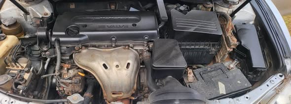 A picture of Distressed Sharp Camry muzzle Engine and gear perfect with Chillin