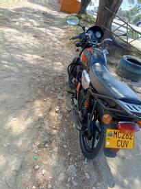 A picture of Boxer cc 150