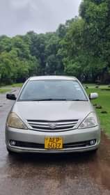 used toyota allion