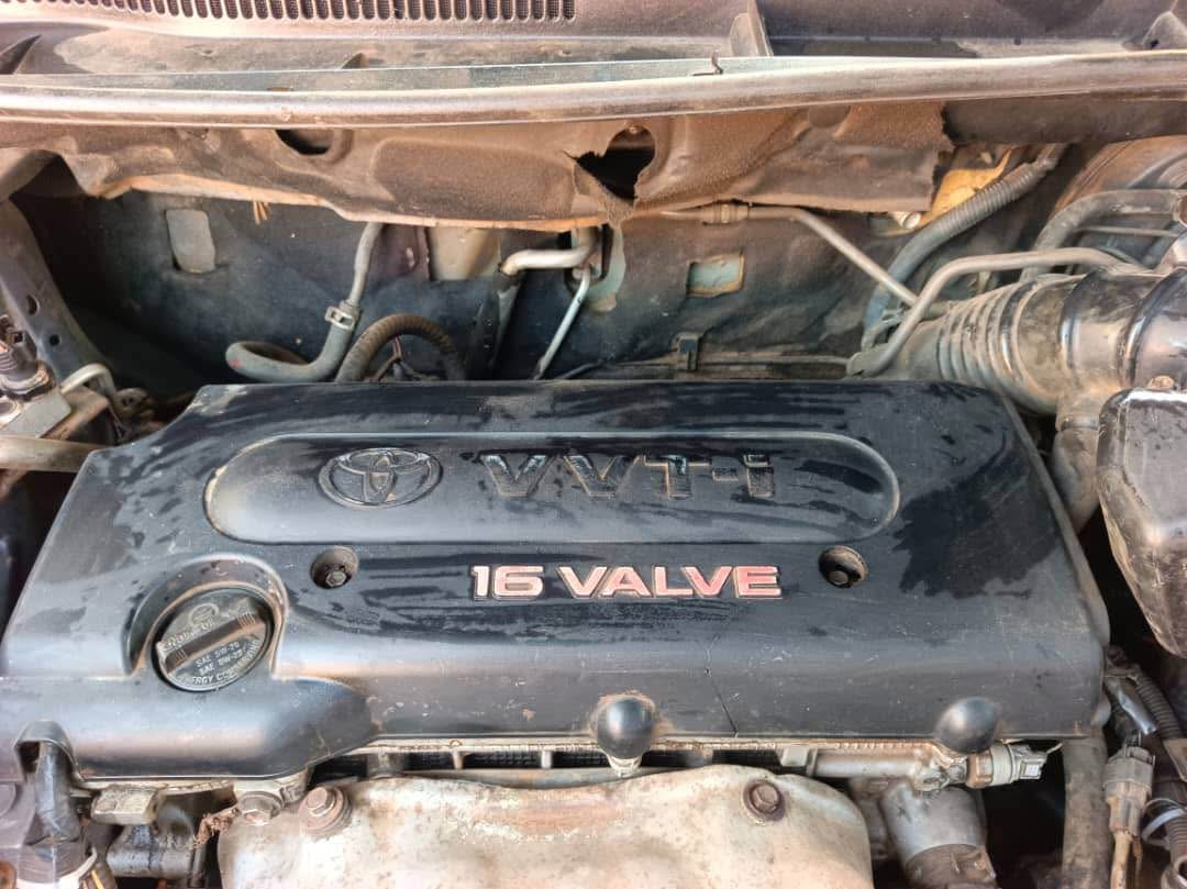 A picture of Toyota RAV 4 2007 model 4 plugs 