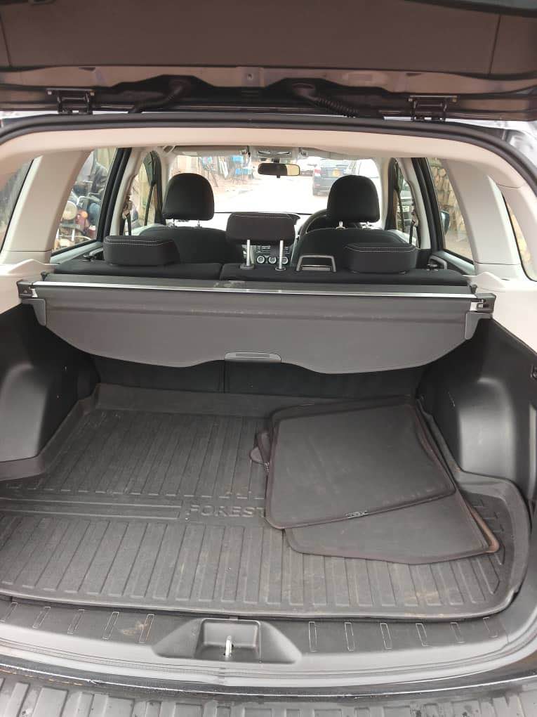 A picture of Forester 2016