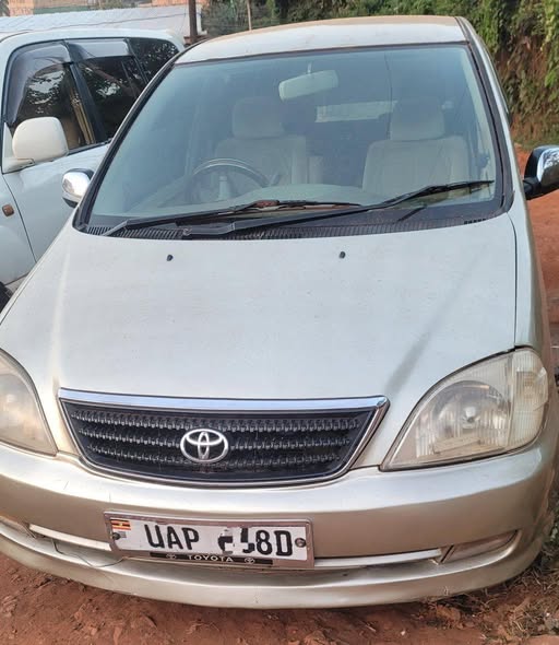 A picture of Nadia on quick sale 8m needed urgently now