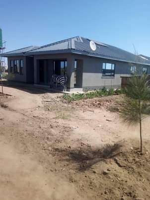 stands