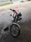 A picture of piga 255762845702