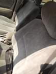 A picture of Corolla beast