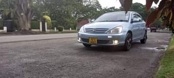 used toyota allion