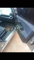 A picture of 2009 Distress Honda Jazz manual gear