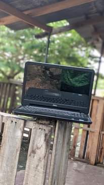 A picture of Dell