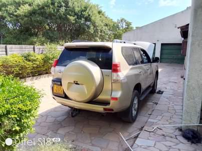 used toyota prado
