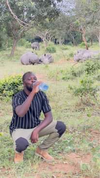 A picture of Safari car hire and tour packages