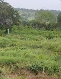 A picture of Land
