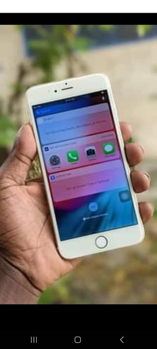 A picture of IPhone 6 plus